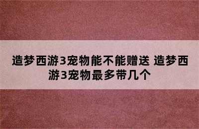 造梦西游3宠物能不能赠送 造梦西游3宠物最多带几个